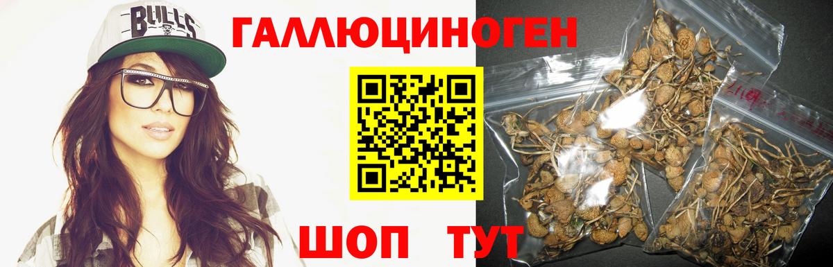 Сосновый Бор  Псилоцибиновые грибы GOLDEN TEACHER  Вход с VPN  Галлюциногенные грибы Magic Shrooms 