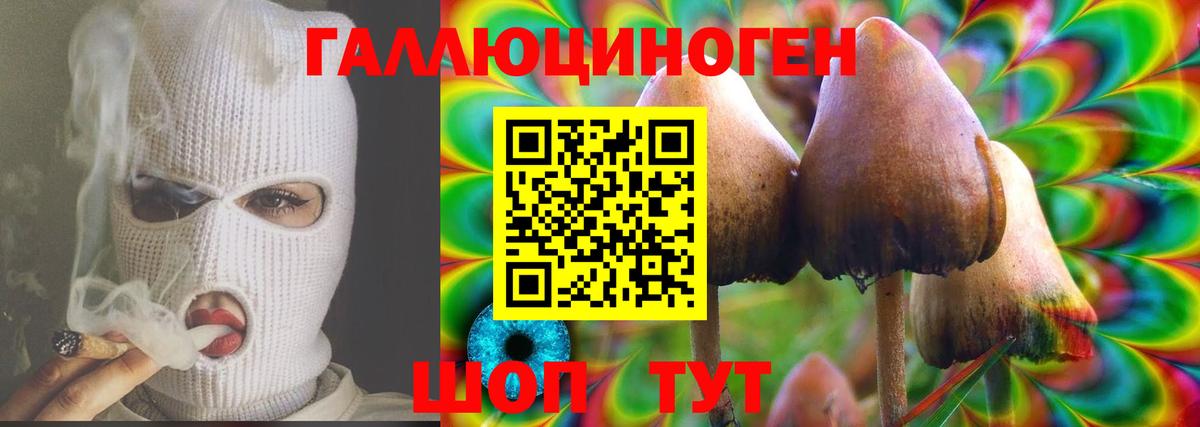 Псилоцибиновые грибы ЛСД Сосновый Бор