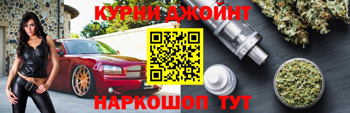 Конопля SATIVA & INDICA Сосновый Бор